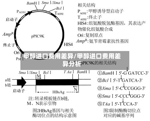 甲醇进口费用差异/甲醇进口费用差异分析