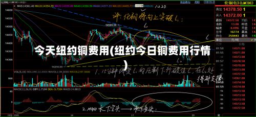 今天纽约铜费用(纽约今日铜费用行情)-第2张图片