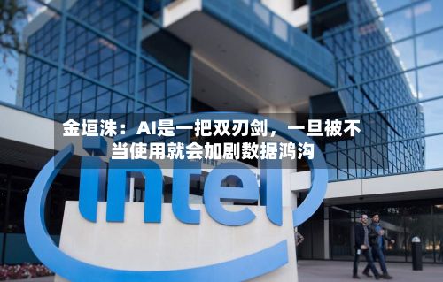 金垣洙：AI是一把双刃剑，一旦被不当使用就会加剧数据鸿沟-第2张图片