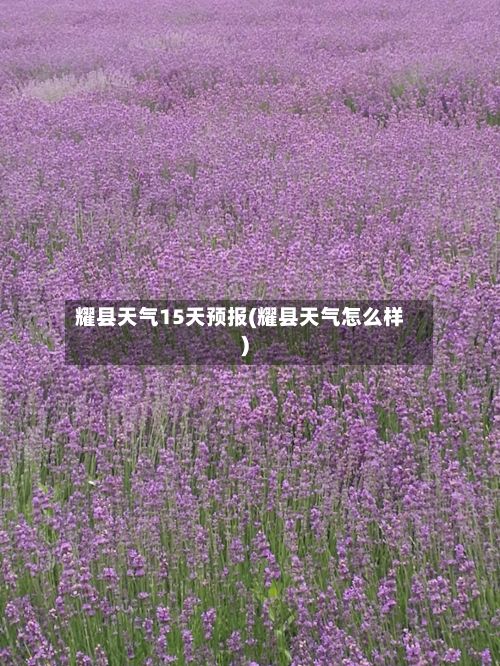 耀县天气15天预报(耀县天气怎么样)