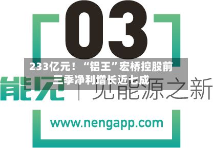 233亿元！“铝王”宏桥控股前三季净利增长近七成-第1张图片