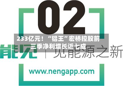 233亿元！“铝王”宏桥控股前三季净利增长近七成-第3张图片