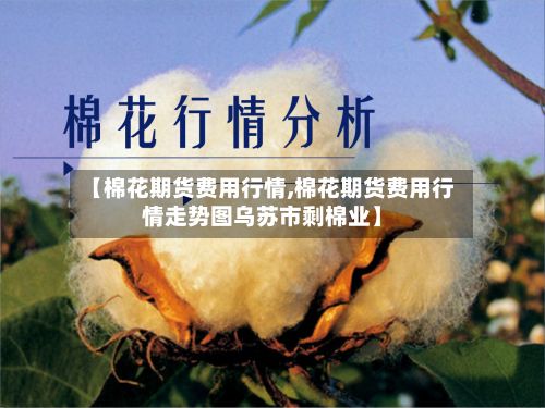 【棉花期货费用行情,棉花期货费用行情走势图乌苏市剩棉业】-第2张图片