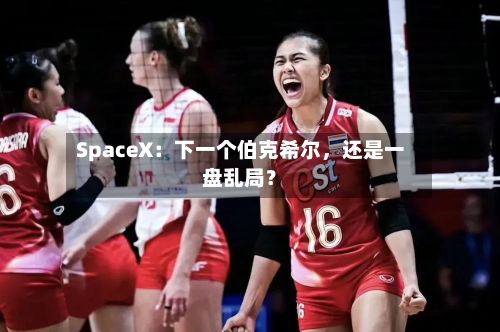 SpaceX：下一个伯克希尔，还是一盘乱局？-第2张图片
