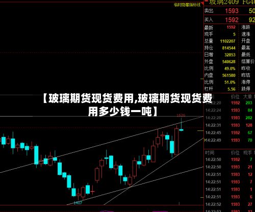 【玻璃期货现货费用,玻璃期货现货费用多少钱一吨】