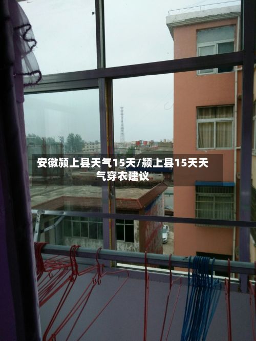 安徽颍上县天气15天/颍上县15天天气穿衣建议-第2张图片