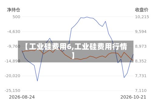 【工业硅费用6,工业硅费用行情】-第3张图片