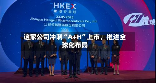 这家公司冲刺“A+H”上市，推进全球化布局-第2张图片