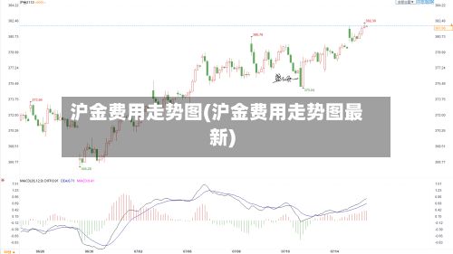 沪金费用走势图(沪金费用走势图最新)-第2张图片