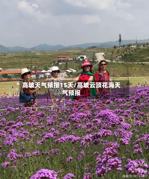 高坡天气预报15天/高坡云顶花海天气预报-第3张图片