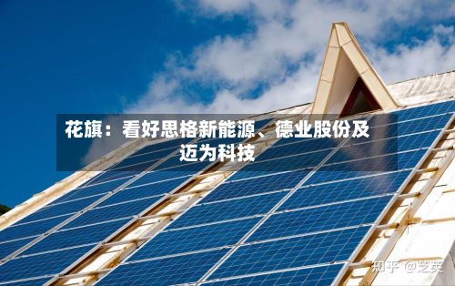 花旗：看好思格新能源、德业股份及迈为科技-第2张图片