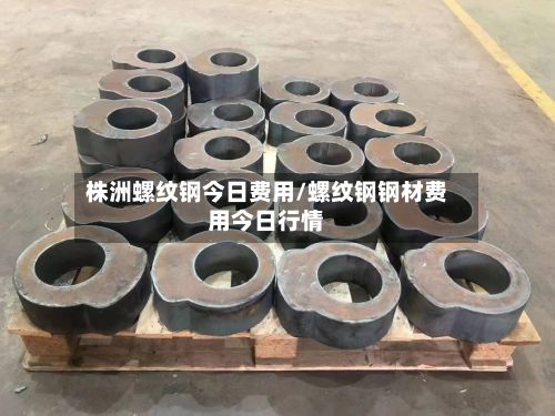 株洲螺纹钢今日费用/螺纹钢钢材费用今日行情-第2张图片