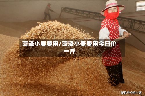 菏泽小麦费用/菏泽小麦费用今日价一斤-第3张图片