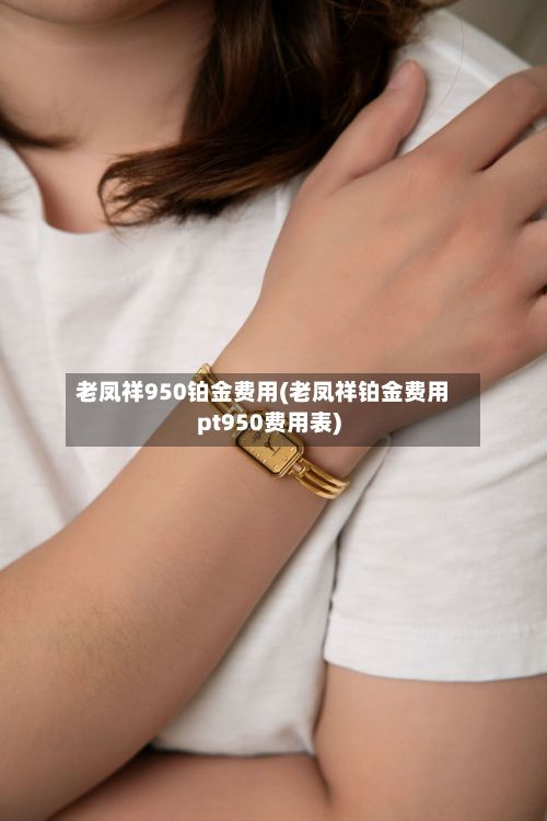 老凤祥950铂金费用(老凤祥铂金费用pt950费用表)-第2张图片