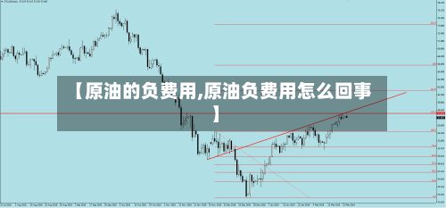【原油的负费用,原油负费用怎么回事】