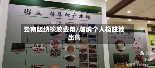 云南版纳橡胶费用/版纳个人橡胶地出售-第3张图片