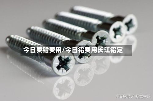 今日费铅费用/今日铅费用长江铅定