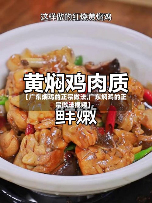 【广东焖鸡的正宗做法,广东焖鸡的正宗做法视频】-第3张图片