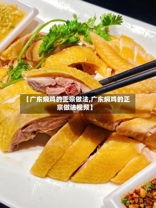 【广东焖鸡的正宗做法,广东焖鸡的正宗做法视频】