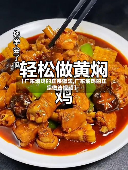 【广东焖鸡的正宗做法,广东焖鸡的正宗做法视频】-第2张图片