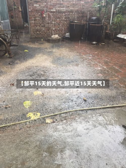 【邹平15天的天气,邹平近15天天气】