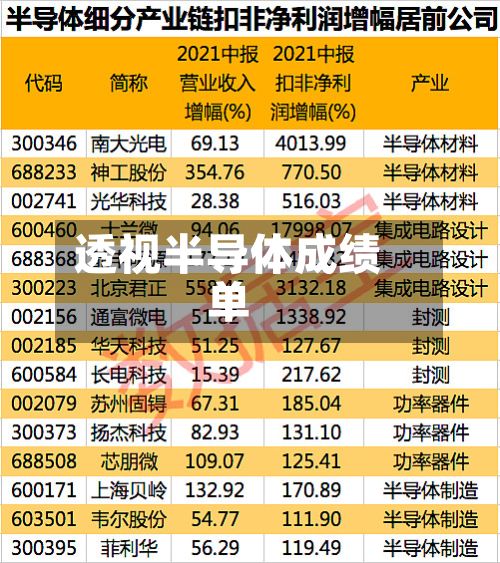 透视半导体成绩单-第3张图片