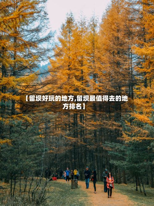 【留坝好玩的地方,留坝最值得去的地方排名】-第3张图片
