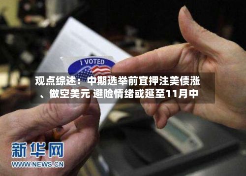 观点综述：中期选举前宜押注美债涨、做空美元 避险情绪或延至11月中-第2张图片