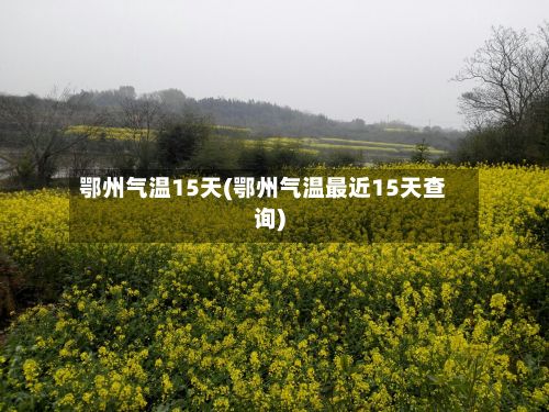 鄂州气温15天(鄂州气温最近15天查询)-第2张图片