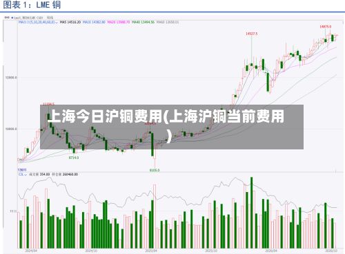 上海今日沪铜费用(上海沪铜当前费用)-第2张图片