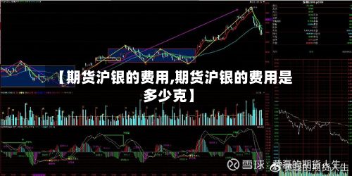 【期货沪银的费用,期货沪银的费用是多少克】-第2张图片
