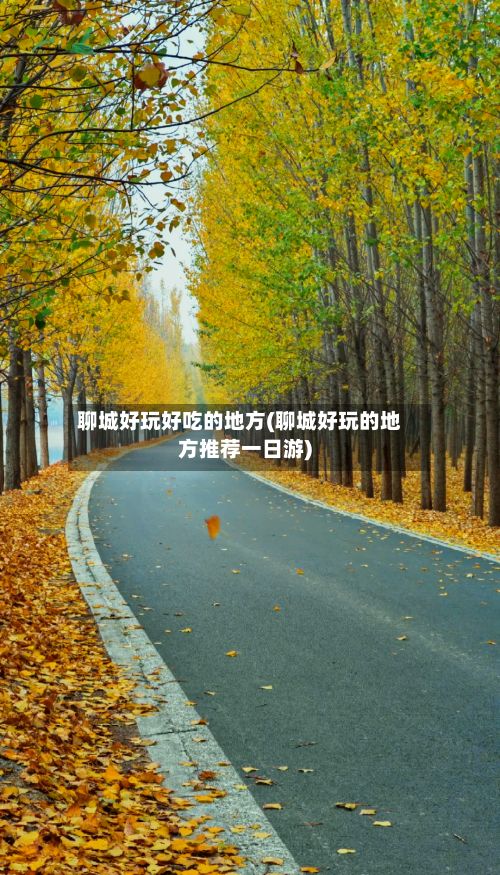 聊城好玩好吃的地方(聊城好玩的地方推荐一日游)-第2张图片