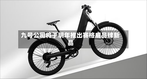 九号公司将于明年推出赛格威品牌新品-第3张图片