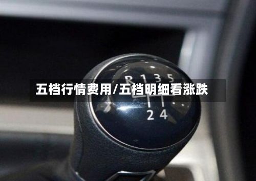 五档行情费用/五档明细看涨跌