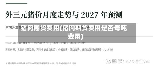 猪肉期货费用(猪肉期货费用是否每吨费用)-第2张图片
