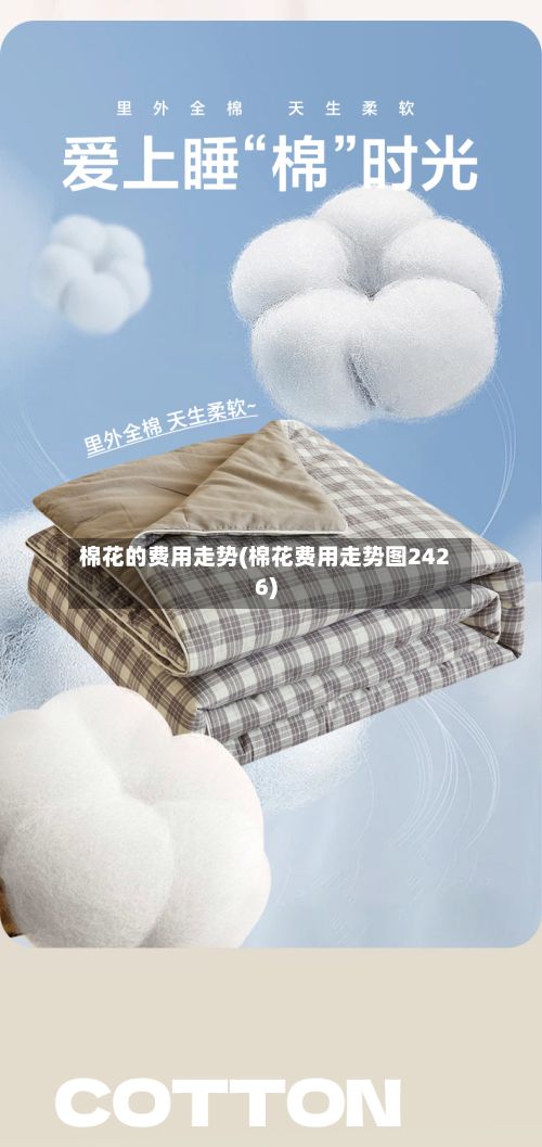 棉花的费用走势(棉花费用走势图2426)