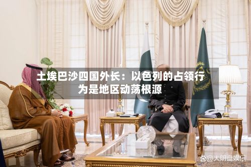 土埃巴沙四国外长：以色列的占领行为是地区动荡根源-第1张图片