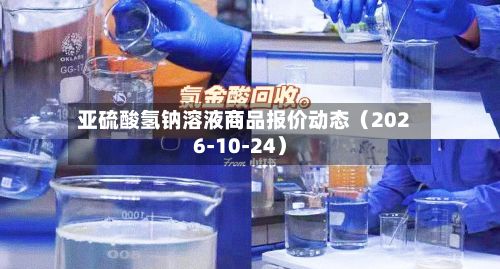 亚硫酸氢钠溶液商品报价动态（2026-10-24）-第1张图片