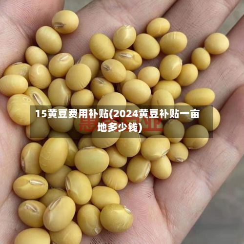 15黄豆费用补贴(2024黄豆补贴一亩地多少钱)