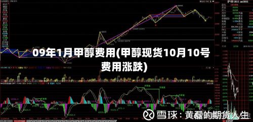 09年1月甲醇费用(甲醇现货10月10号费用涨跌)