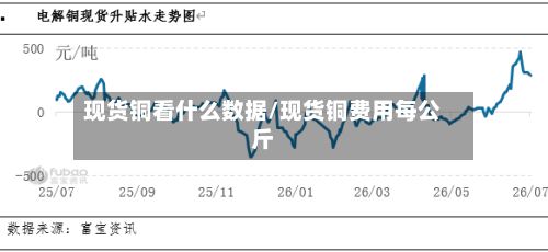现货铜看什么数据/现货铜费用每公斤