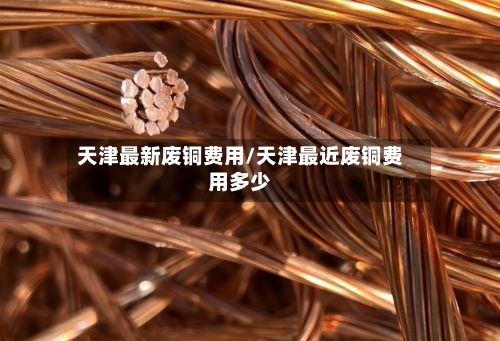 天津最新废铜费用/天津最近废铜费用多少-第3张图片