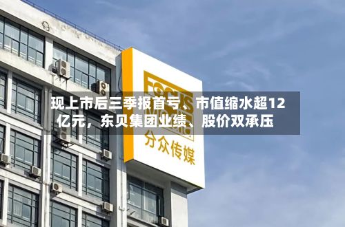 现上市后三季报首亏、市值缩水超12亿元，东贝集团业绩、股价双承压-第2张图片