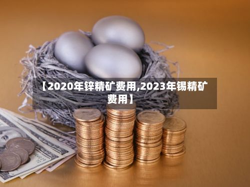 【2020年锌精矿费用,2023年锡精矿费用】-第2张图片