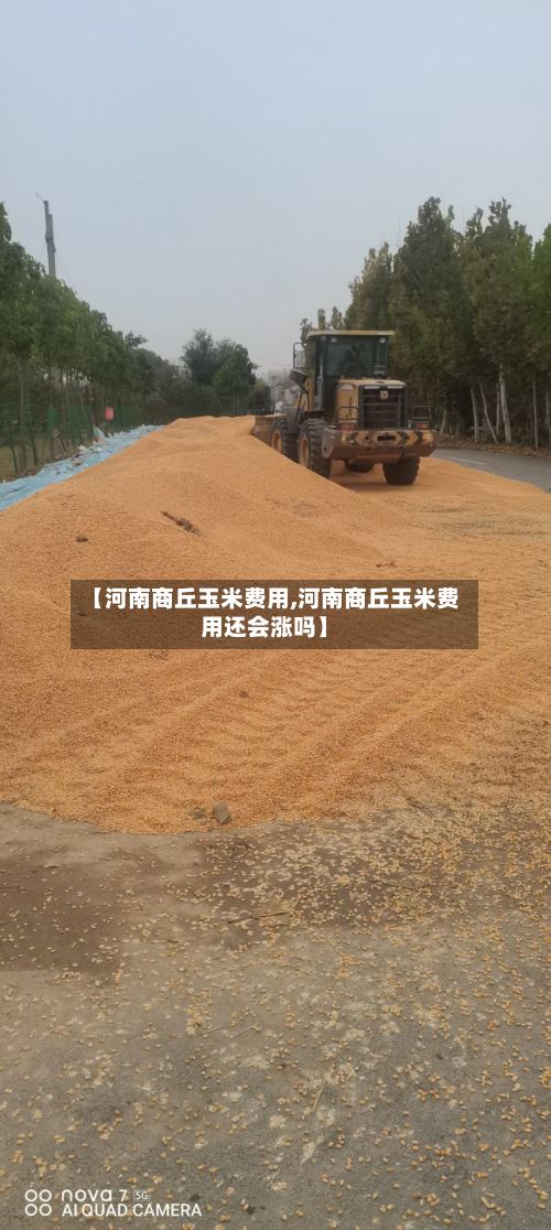【河南商丘玉米费用,河南商丘玉米费用还会涨吗】