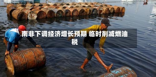 南非下调经济增长预期 临时削减燃油税-第2张图片