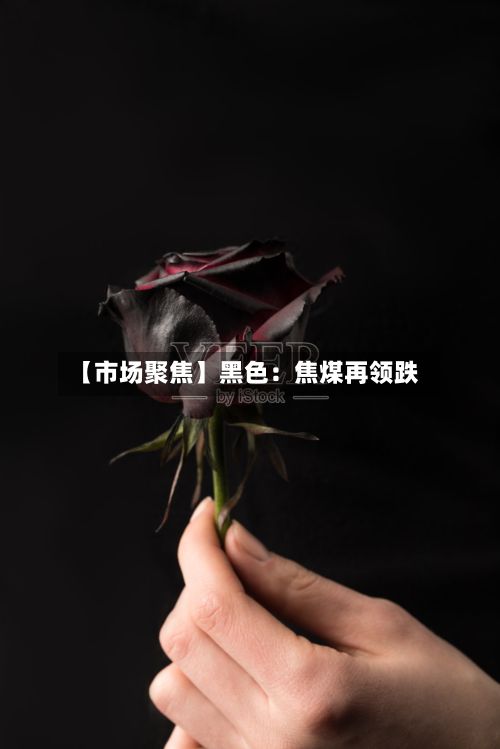 【市场聚焦】黑色：焦煤再领跌-第2张图片