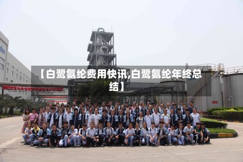 【白鹭氨纶费用快讯,白鹭氨纶年终总结】-第2张图片