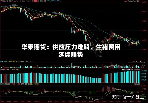 华泰期货：供应压力难解，生猪费用延续弱势-第1张图片