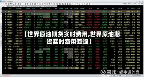 【世界原油期货实时费用,世界原油期货实时费用查询】-第2张图片